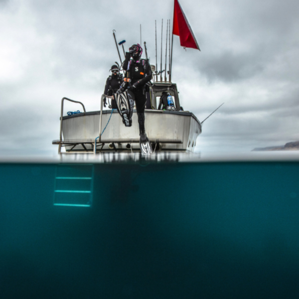 Boat Diver