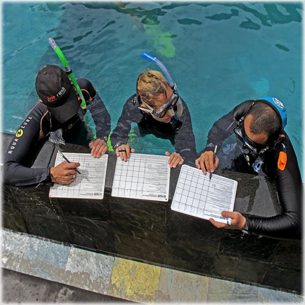 PADI IDC Staff Instructor