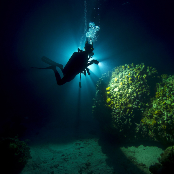 PADI Night Diver