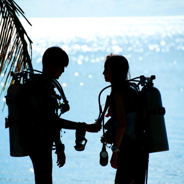 PADI Assistant Instructor