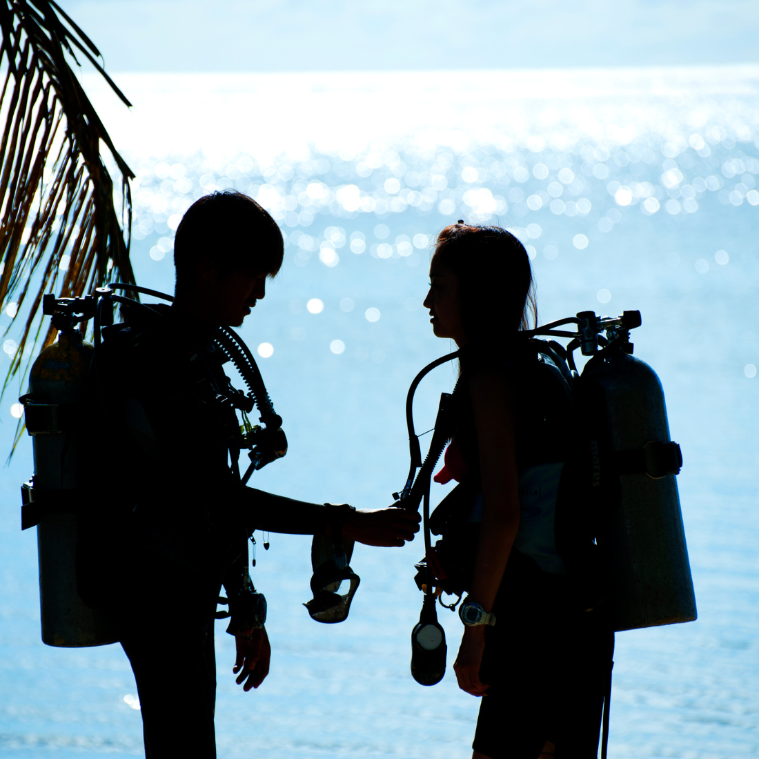 Shop Images-10 PADI Assistant Instructor