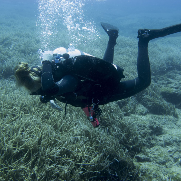 Twinset Diver Instructor