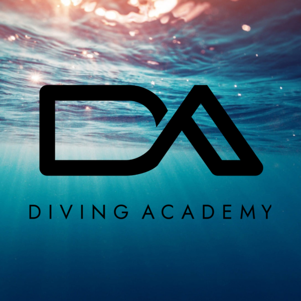 Canva Marketing Workshop