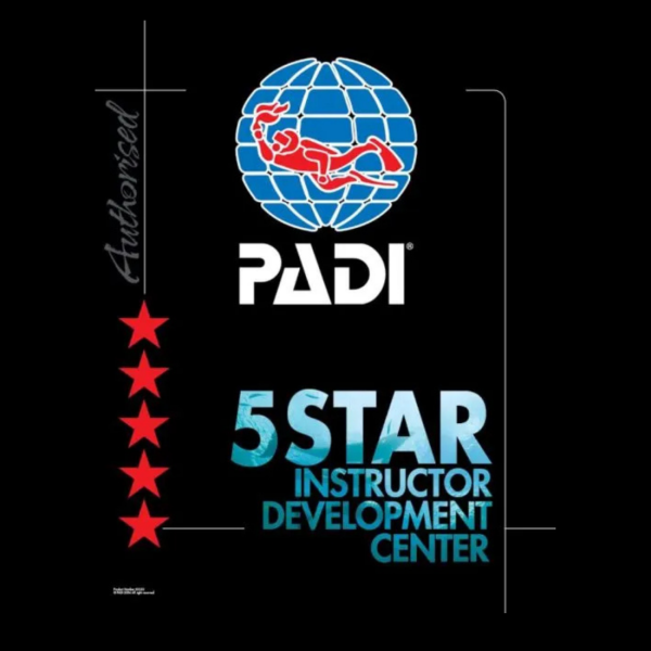 Diving Academy Career Development Workshops