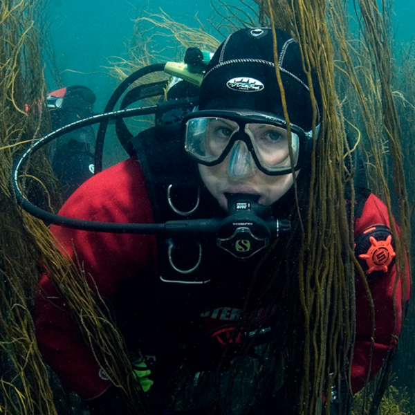 Scuba Diving Internship