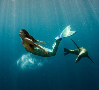 Banner Images (1920 x 900 px)-6